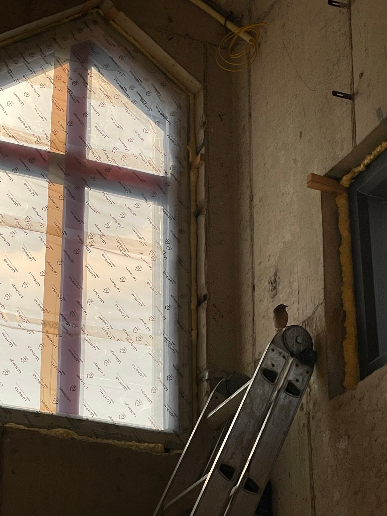 1494df289d616.jpeg