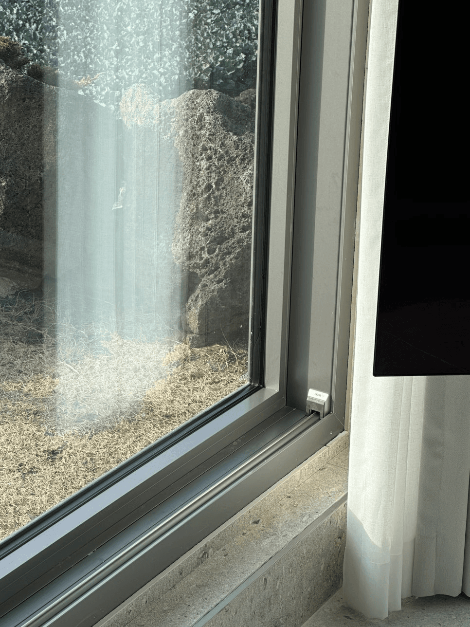 a911ac8193532.png